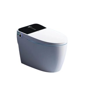 Bồn Cầu Thông Minh LUX - S555